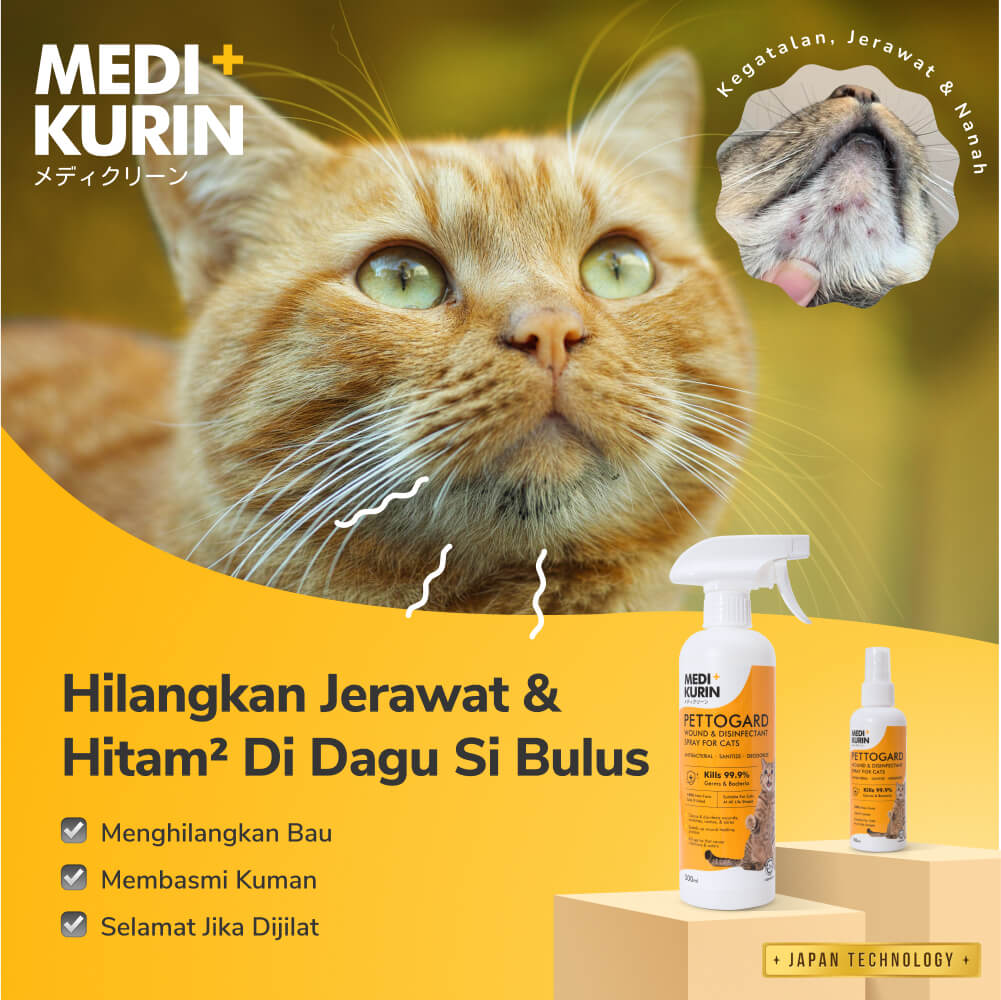Social Media Ad MediKurin Pettogard Cat